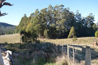 Farm Sold - TAS - Lower Wilmot - 7310 - What a find  (Image 2)