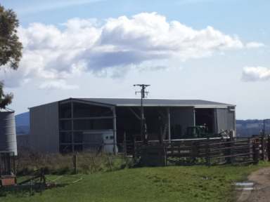 Farm Sold - TAS - Sidmouth - 7270 - PRODUCTIVE FATTENING PROPERTY WITH 4 TITLES  208.79 HA  (Image 2)