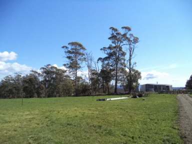 Farm Sold - TAS - Sidmouth - 7270 - PRODUCTIVE FATTENING PROPERTY WITH 4 TITLES  208.79 HA  (Image 2)