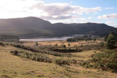Farm Sold - TAS - Moina - 7310 - Lake views in Cradle country  (Image 2)