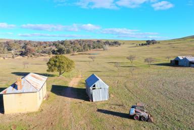 Farm Sold - NSW - Goulburn - 2580 - 108 Glorious Acres  (Image 2)