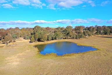 Farm Sold - NSW - Goulburn - 2580 - 108 Glorious Acres  (Image 2)