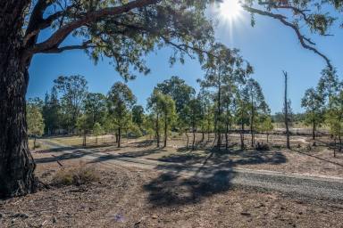 Farm Sold - NSW - Singleton - 2330 - START YOUR RURAL LIFE HERE!  (Image 2)