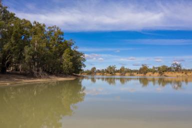 Farm Sold - VIC - Cullulleraine - 3496 - Ideally Situated Alongside the Murray River  (Image 2)