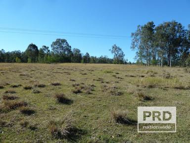 Farm Sold - NSW - Rappville - 2469 - 222.17 Ha Investment/Development Block  (Image 2)