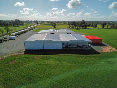 Farm Sold - VIC - Toolamba - 3614 - "The Heart of the Goulburn Valley"  (Image 2)