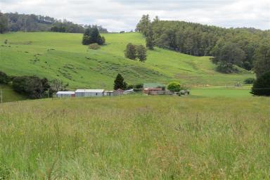 Farm Sold - TAS - Wilmot - 7310 - Farmlet in the Valley of Views  (Image 2)