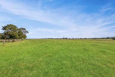 Farm Sold - NSW - Singleton - 2330 - 'HARWIN' - STUNNING PROPERTY ON THE HUNTER RIVER  (Image 2)
