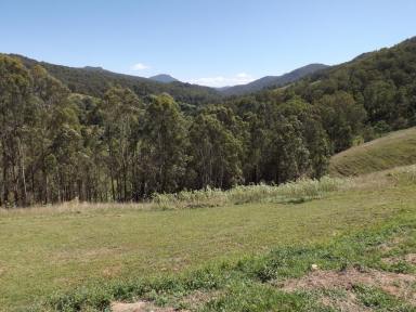 Farm Sold - NSW - Carrowbrook - 2330 - Ideal Weekender in Scenic Location  (Image 2)