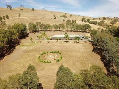 Farm Sold - NSW - Gundagai - 2722 - MASSIVE HOMESTEAD ON 10 ACRES.  (Image 2)