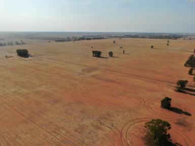 Farm Sold - NSW - West Wyalong - 2671 - 'Carinyah' Aggregation West Wyalong 3,210 Acres  (Image 2)