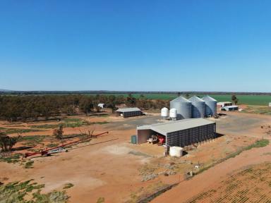 Farm Sold - NSW - Weethalle - 2669 - Bluechip Turnkey Cropping Opportunity  (Image 2)