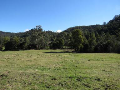 Farm Sold - TAS - Claude Road - 7306 - Views and water  (Image 2)