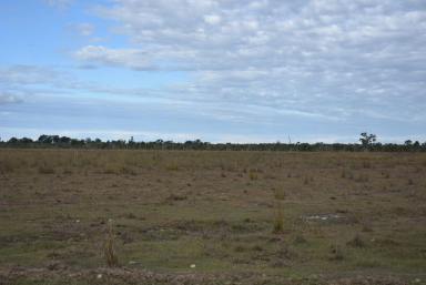 Farm Sold - QLD - Canal Creek - 4702 - HIGH RAINFALL COUNTRY FOR SALE  (Image 2)