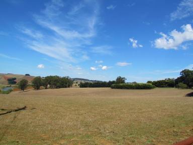 Farm Sold - VIC - Thorpdale - 3835 - 173 ACRES, 2 TITLES, 2 HOUSES, HUGE WATER LICENCE  (Image 2)