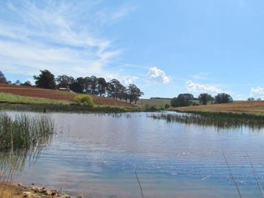Farm Sold - VIC - Thorpdale - 3835 - 273 ACRES, 3 TITLES, 3 HOUSES, HUGE WATER LICENCE  (Image 2)