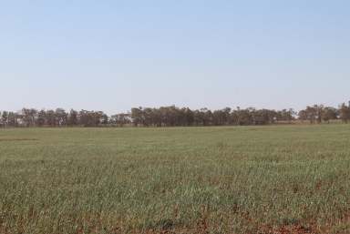 Farm Sold - NSW - Weethalle - 2669 - 'Straithfield' & 'Brigadoon' Weethalle NSW  (Image 2)