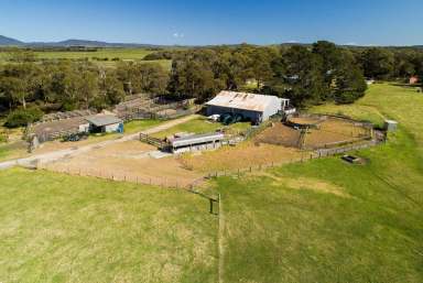 Farm Sold - TAS - Memana - 7255 - Coralglen-For Sale by Tender  (Image 2)