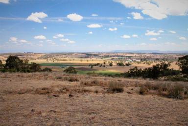 Farm Sold - NSW - Quirindi - 2343 - 50 ACRES WITH SPECTACULAR VIEWS  (Image 2)