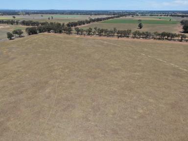 Farm Sold - NSW - Temora - 2666 - BUILD YOUR DREAM HOME ON ACRES !!!  (Image 2)