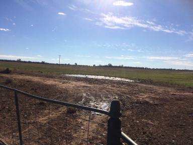 Farm Sold - NSW - Temora - 2666 - BUILD YOUR DREAM HOME ON ACRES !!!  (Image 2)