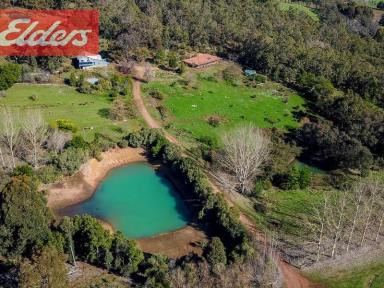 Farm Sold - WA - Balingup - 6253 - This has to be one of the best lifestyles on offer in the South West.  (Image 2)