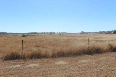 Farm Sold - QLD - Gin Gin - 4671 - Now $189,000 50 Acres of Prime Agricultural Land  (Image 2)