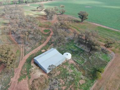 Farm Sold - NSW - Temora - 2666 - 'Kaloomba' 42ha & Massive Sheds!  (Image 2)