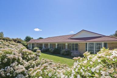 Farm Sold - NSW - Goulburn - 2580 - Delightful Lifestyle Property  (Image 2)