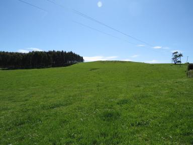 Farm Sold - TAS - Wilmot - 7310 - Acreage in the valley of views  (Image 2)