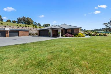 Farm Sold - TAS - Acacia Hills - 7306 - Select rural property with panoramic outlook  (Image 2)