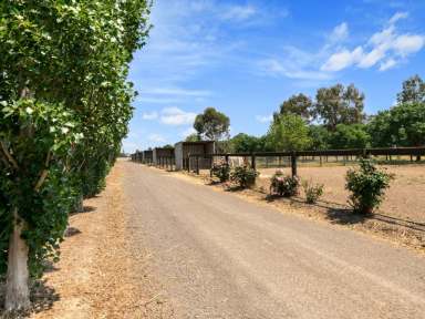 Farm Sold - VIC - Moorilim - 3610 - Exceptional equine property  (Image 2)