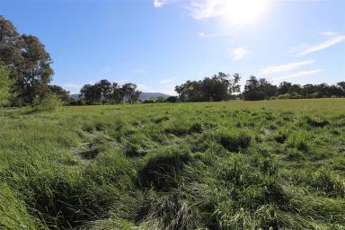 Farm Sold - NSW - Tumut - 2720 - Lot 271 DP 750991 & proposed Lot 710 Lacmalac Road, Tumut  (Image 2)
