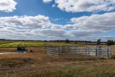 Farm Sold - TAS - Toiberry - 7301 - A versatile 229 acres  (Image 2)