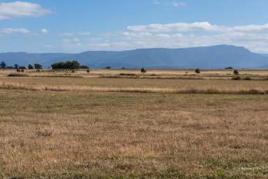 Farm Sold - TAS - Toiberry - 7301 - A versatile 229 acres  (Image 2)