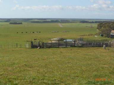 Farm Sold - TAS - Flinders Island - 7255 - Hillview  (Image 2)