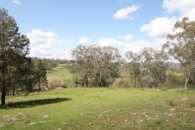 Farm Sold - NSW - Quirindi - 2343 - 10.5 ACRES, CREEK FRONTAGE  (Image 2)