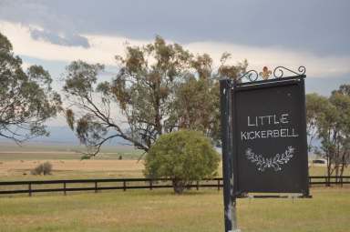 Farm Sold - NSW - Quirindi - 2343 - RARE RURAL OPPORTUNITY  (Image 2)