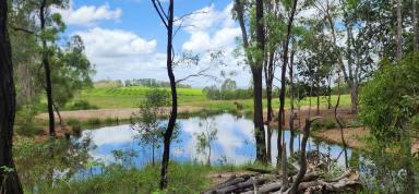 Farm For Sale - QLD - Gin Gin - 4671 - Great block with lots of possibilities  (Image 2)