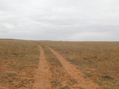 Farm Sold - SA - Halidon - 5309 - Bush-land Getaway with Open Acres  (Image 2)