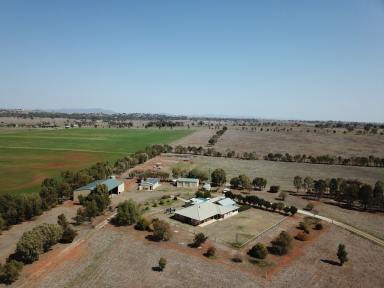 Farm Sold - NSW - Tamworth - 2340 - TOP QUALITY MIXED FARM ON 41.35 HA  (Image 2)