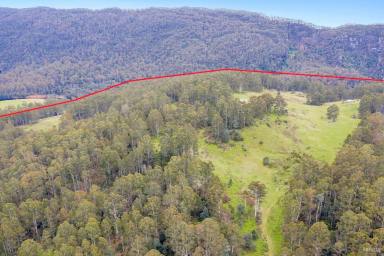 Farm Sold - TAS - Nietta - 7315 - Awesome potential next to the Canyons  (Image 2)
