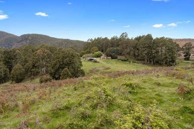 Farm Sold - TAS - Nietta - 7315 - Awesome potential next to the Canyons  (Image 2)
