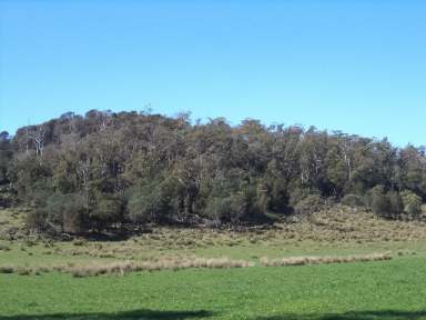 Farm Sold - TAS - Sidmouth - 7270 - Build Your Home On This Productive Property  (Image 2)