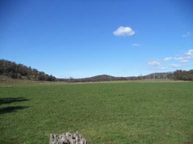 Farm Sold - TAS - Sidmouth - 7270 - Build Your Home On This Productive Property  (Image 2)