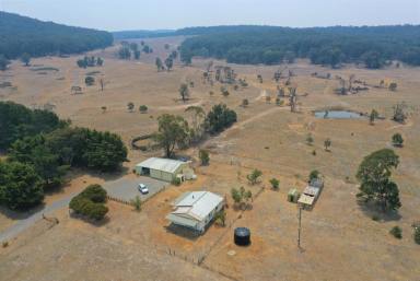 Farm Sold - NSW - Goulburn - 2580 - Rural Escape  (Image 2)