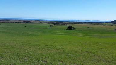 Farm Sold - TAS - Whitemark - 7255 - Best of Both Worlds on Flinders Island.  (Image 2)