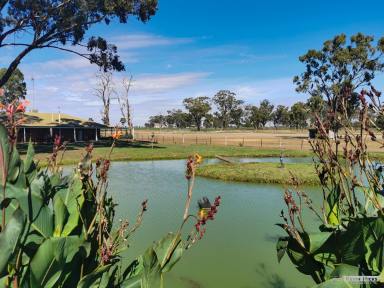 Farm Sold - VIC - Girgarre East - 3616 - Location and Versatility  (Image 2)