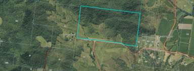 Farm Sold - QLD - Dows Creek - 4754 - Get Back To Nature  (Image 2)