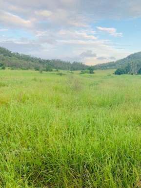 Farm Sold - QLD - Dows Creek - 4754 - Get Back To Nature  (Image 2)